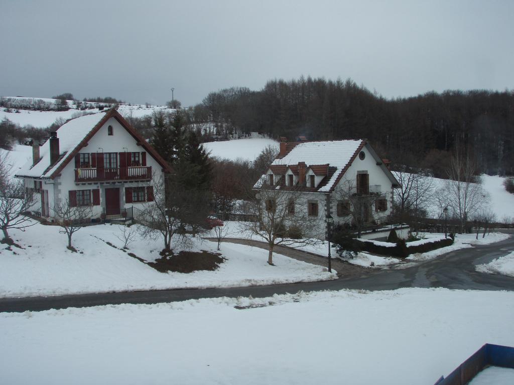 Irugoienea *